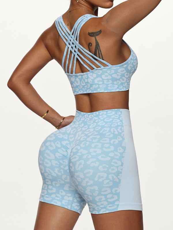PAULA | Conjunto