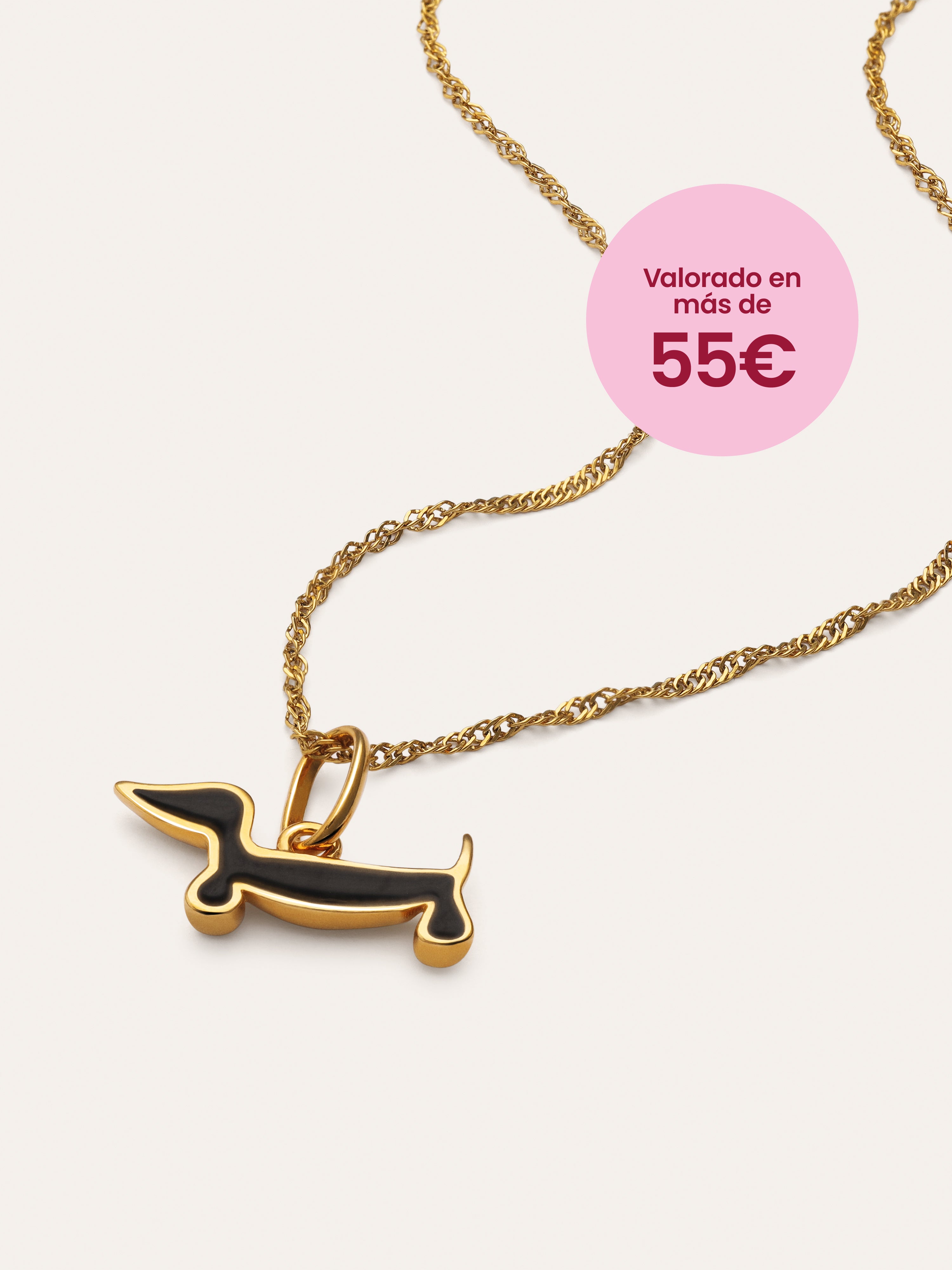 TWIST | Collar + Charm de regalo