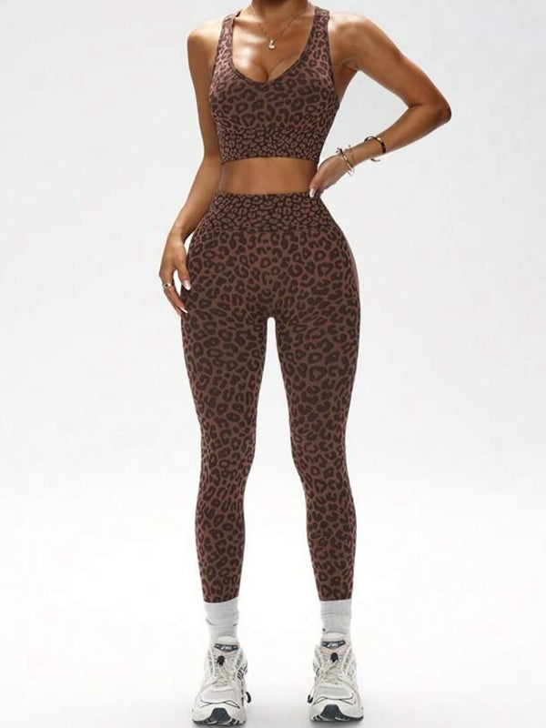 ANIMAL | Conjunto
