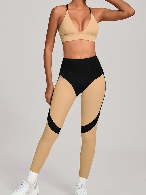 CAMILA | Conjunto
