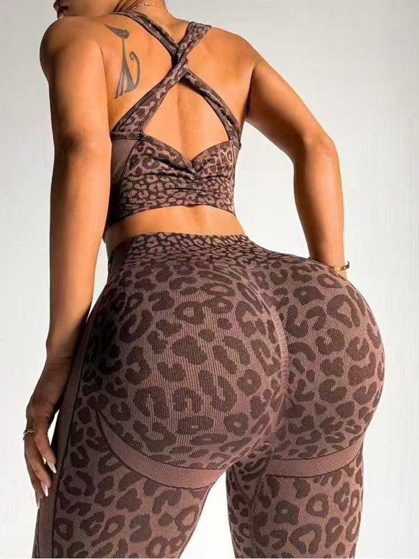 ANIMAL | Conjunto