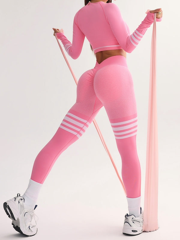 AMANDA |Conjunto