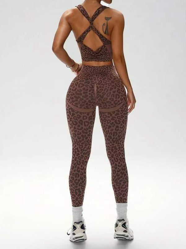 ANIMAL | Conjunto