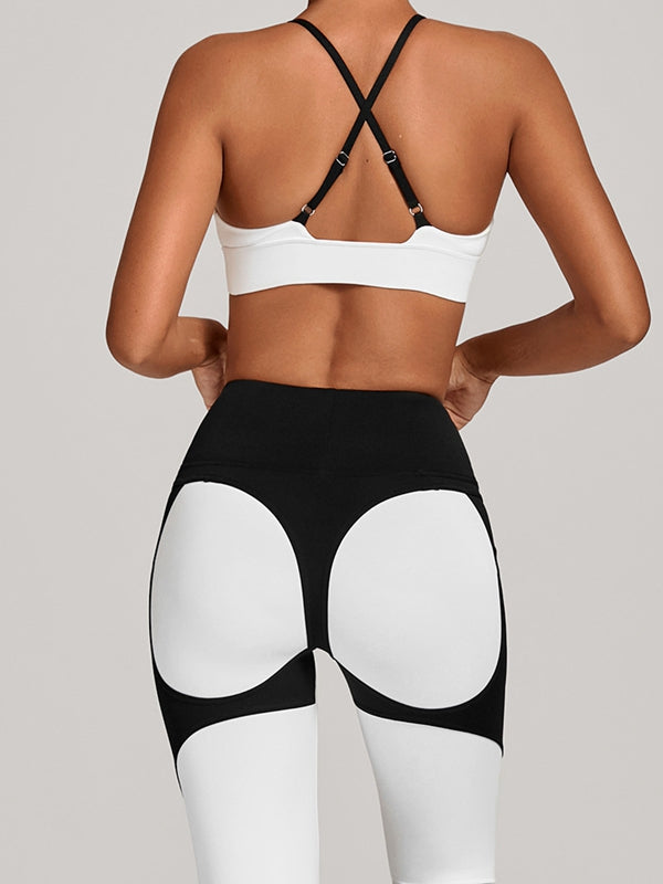 CAMILA | Conjunto
